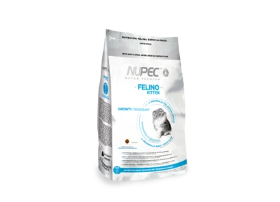 Nupec Felino Kitten